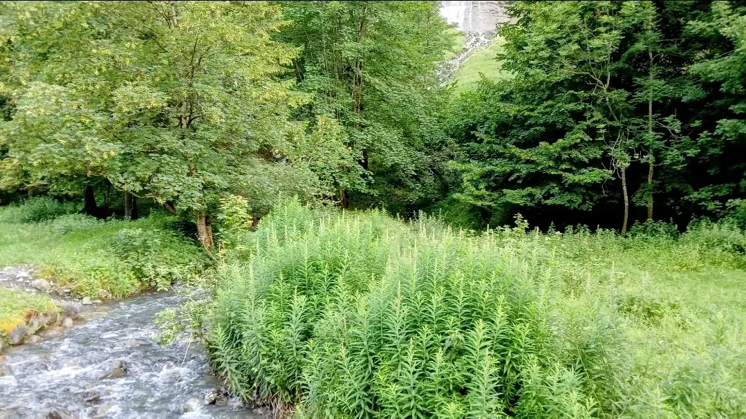 2 Waterfall Lauterbrunnen With Cloy Option Early Express Bern, Thun — Happy Tour Switzerland (31)