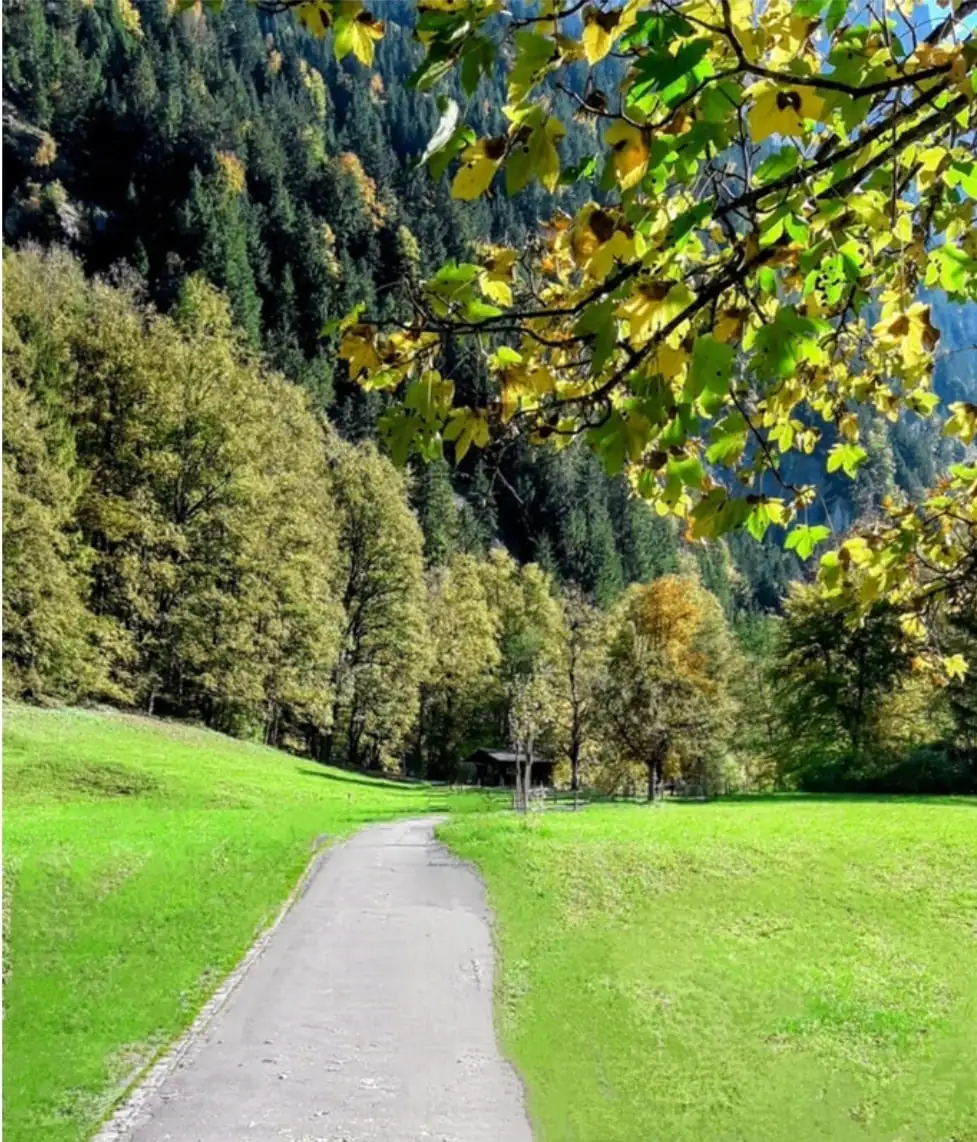 3 Waterfall + Cloy Pier + Lake Bern, Thun — Happy Tour Switzerland (28)