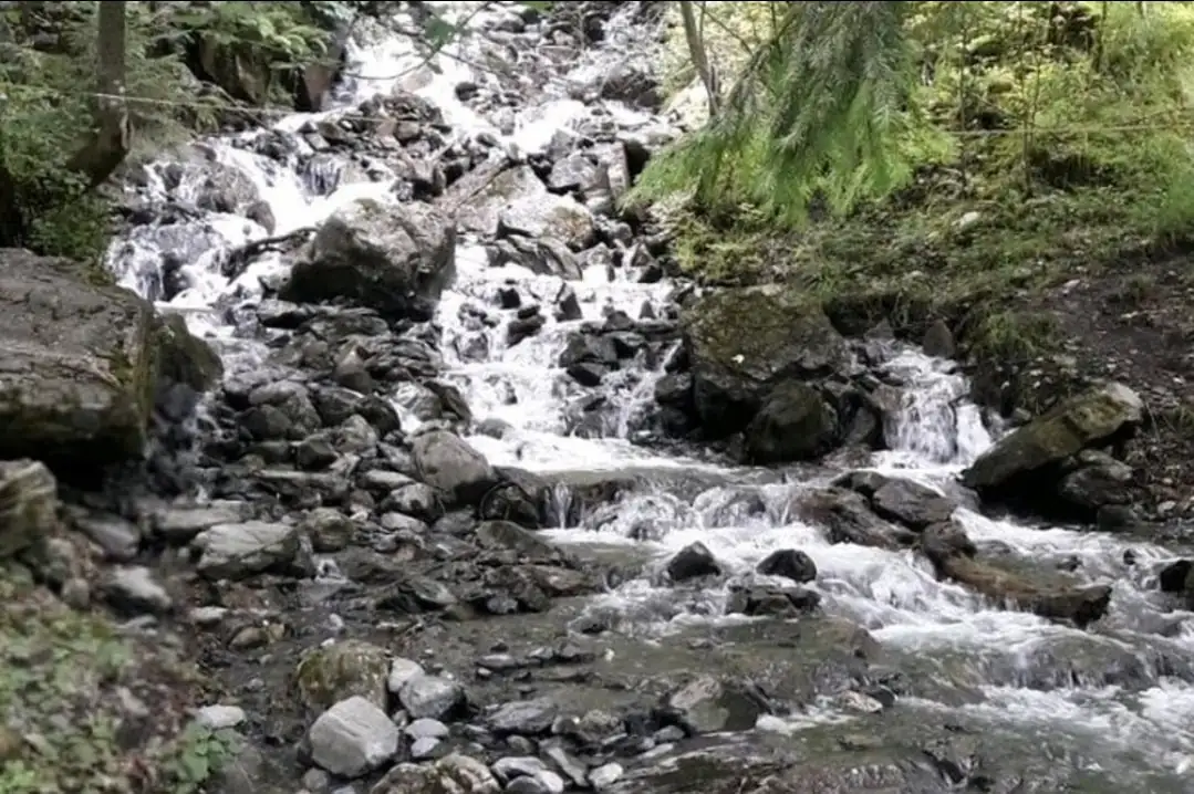3 Waterfall + Cloy Pier + Lake Bern, Thun — Happy Tour Switzerland (43)