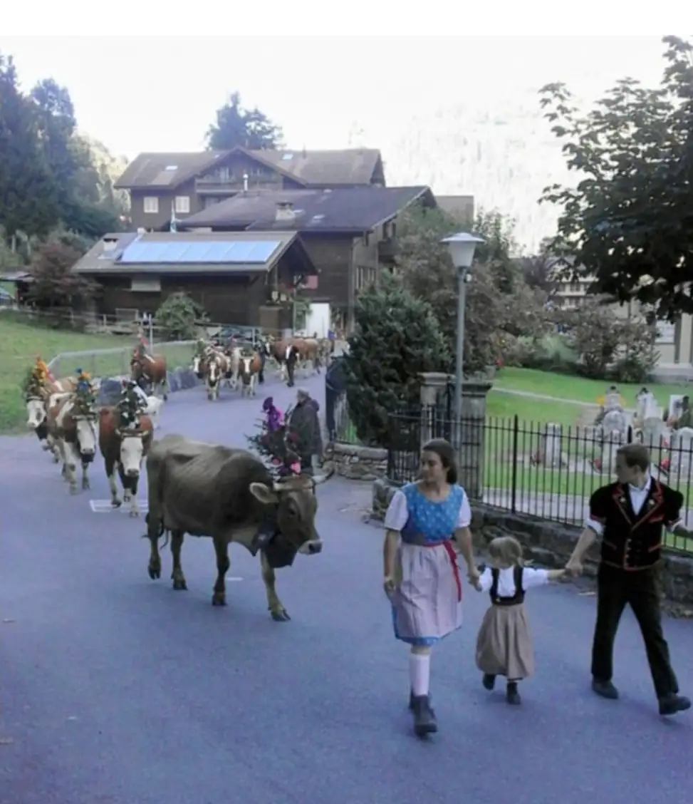3 Waterfall + Cloy Pier + Lake Bern, Thun — Happy Tour Switzerland (17)