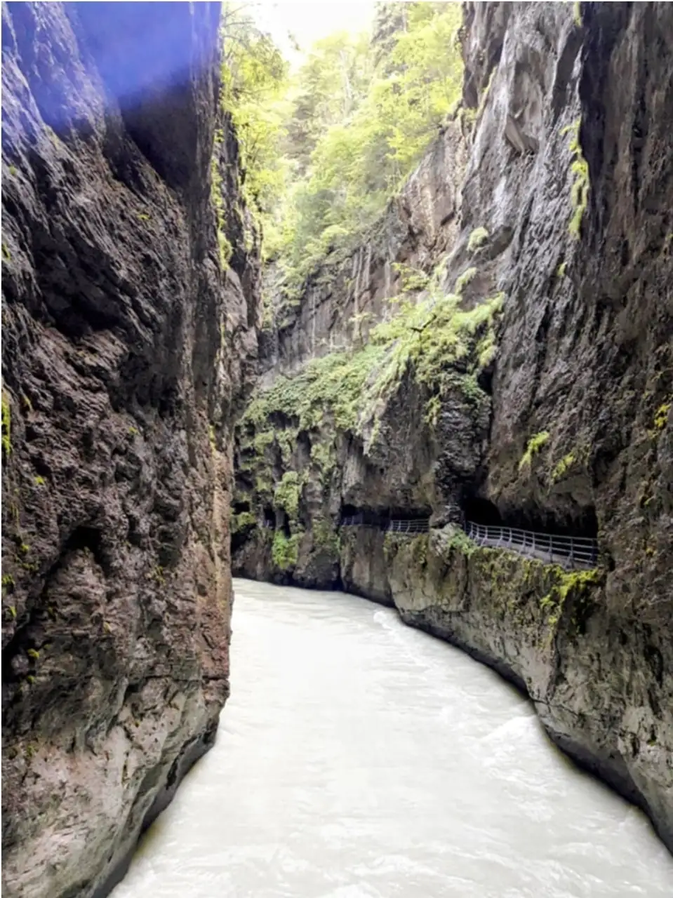 Andermatt To Interlaken One Way Private — Happy Tour Switzerland (20)
