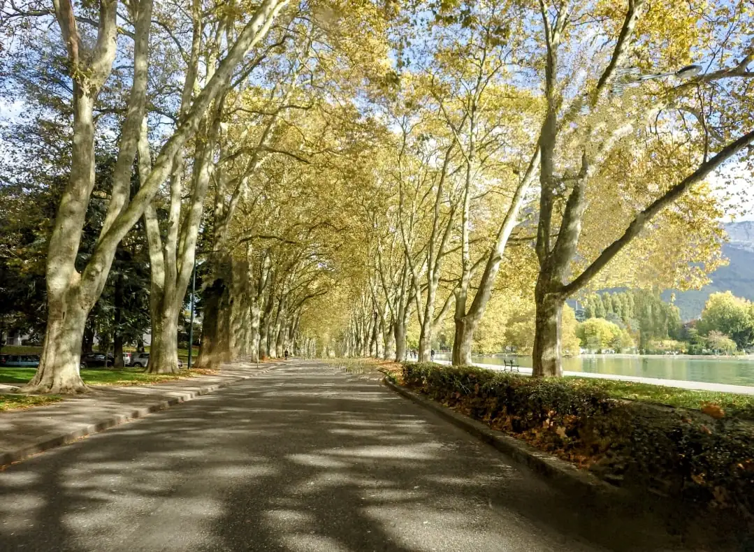 Annecy France: Venice Of The Alps Tour Geneva — Happy Tour Switzerland (7)