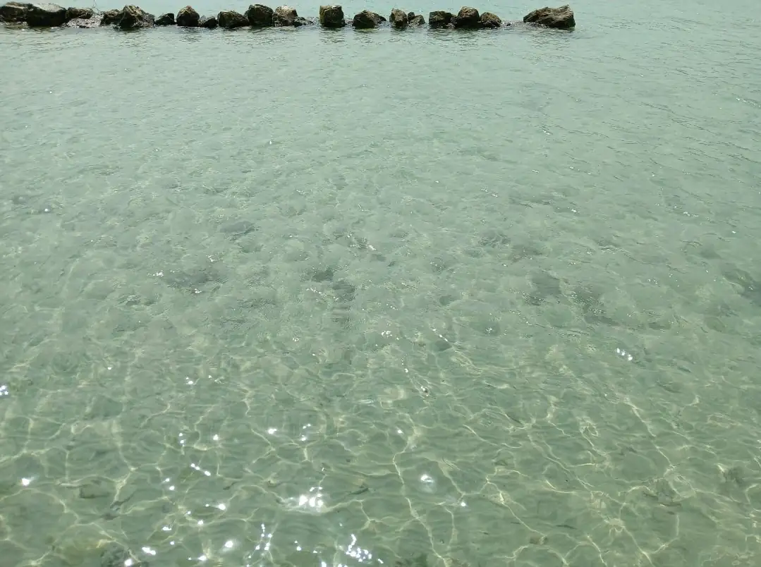 Annecy France: Venice Of The Alps Tour Geneva — Happy Tour Switzerland (11)
