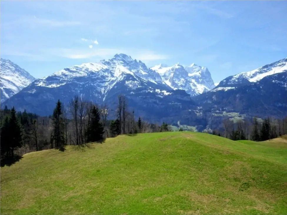 Bitcoin Crash Course + Sightseeing Private Tour Happy Tour Switzerland (2)