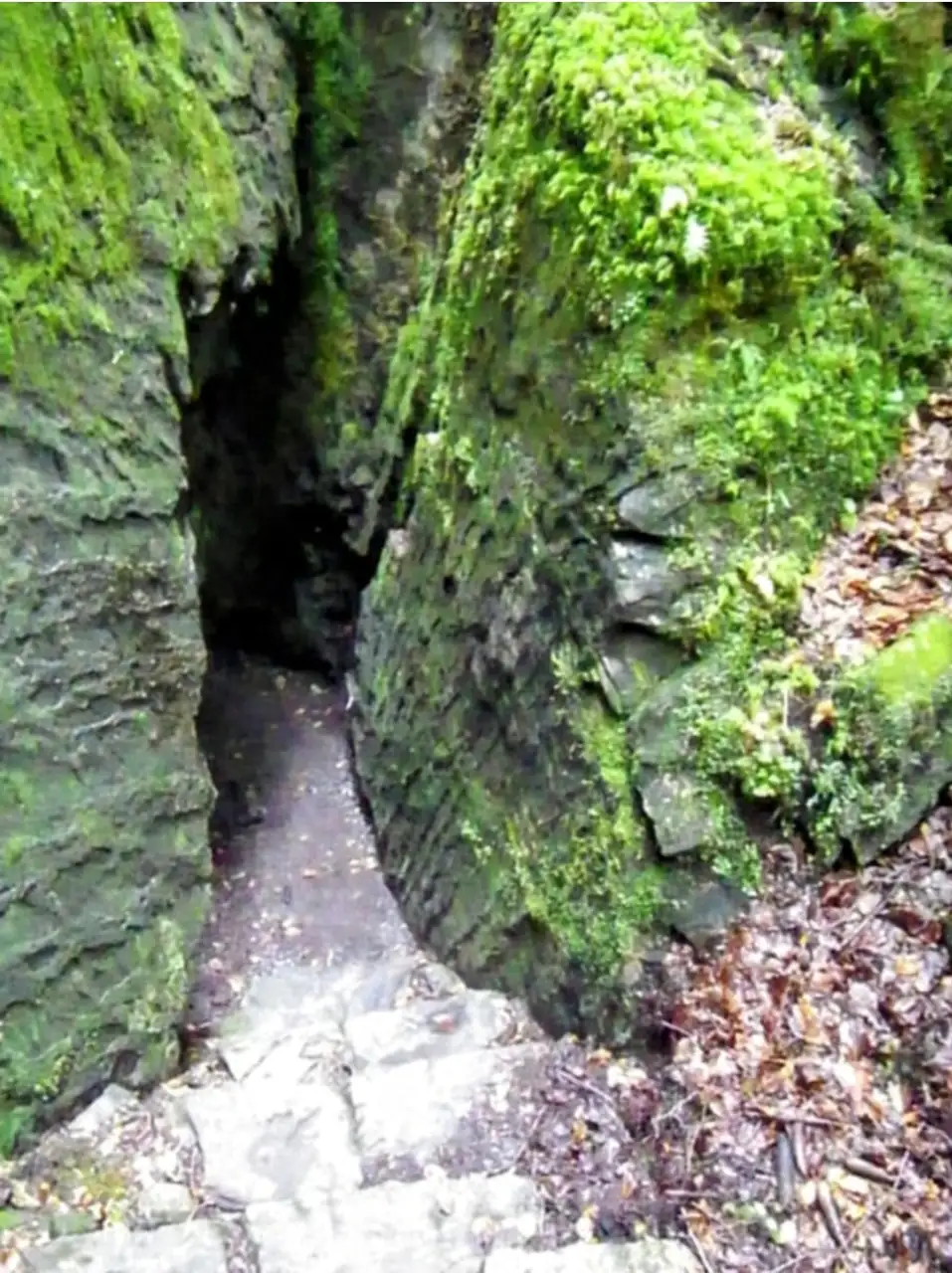 Blausee Express Sightseeing — Happy Tour Switzerland (13)