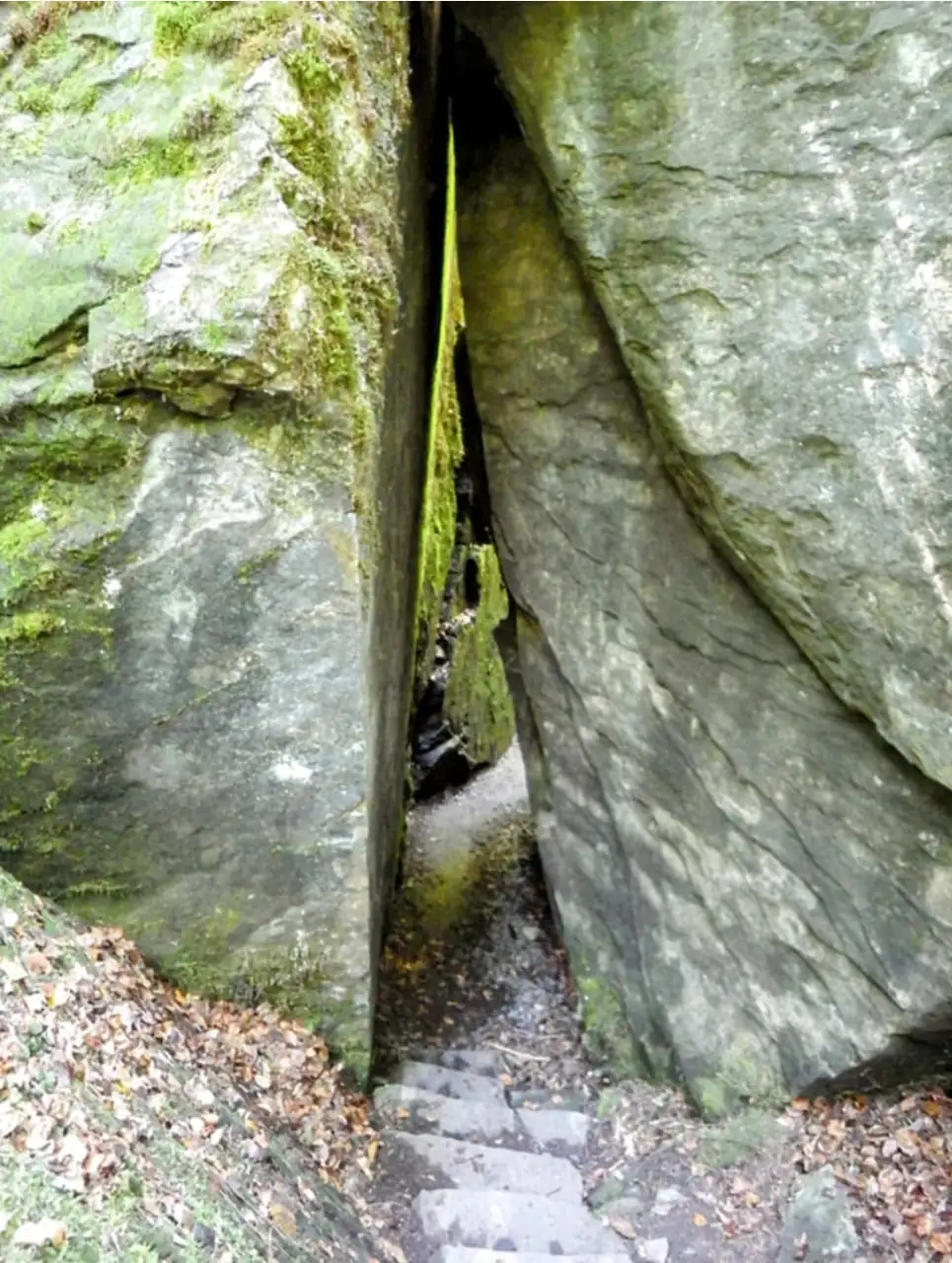 Blausee Express Sightseeing — Happy Tour Switzerland (14)