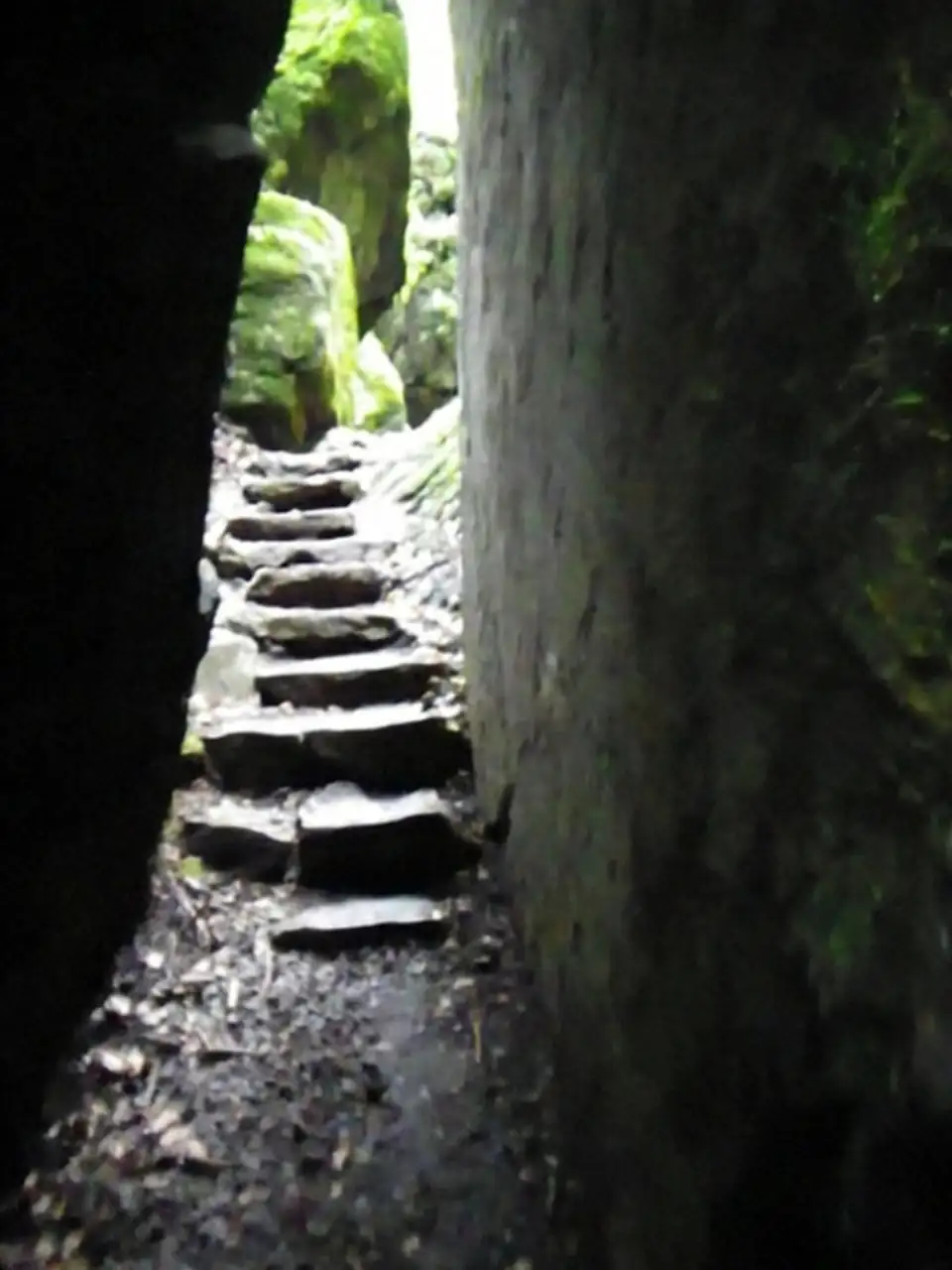 Blausee Express Sightseeing — Happy Tour Switzerland (15)