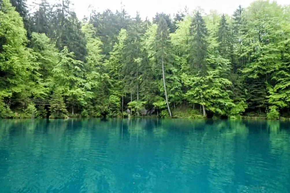 Blausee Express Sightseeing — Happy Tour Switzerland (8)