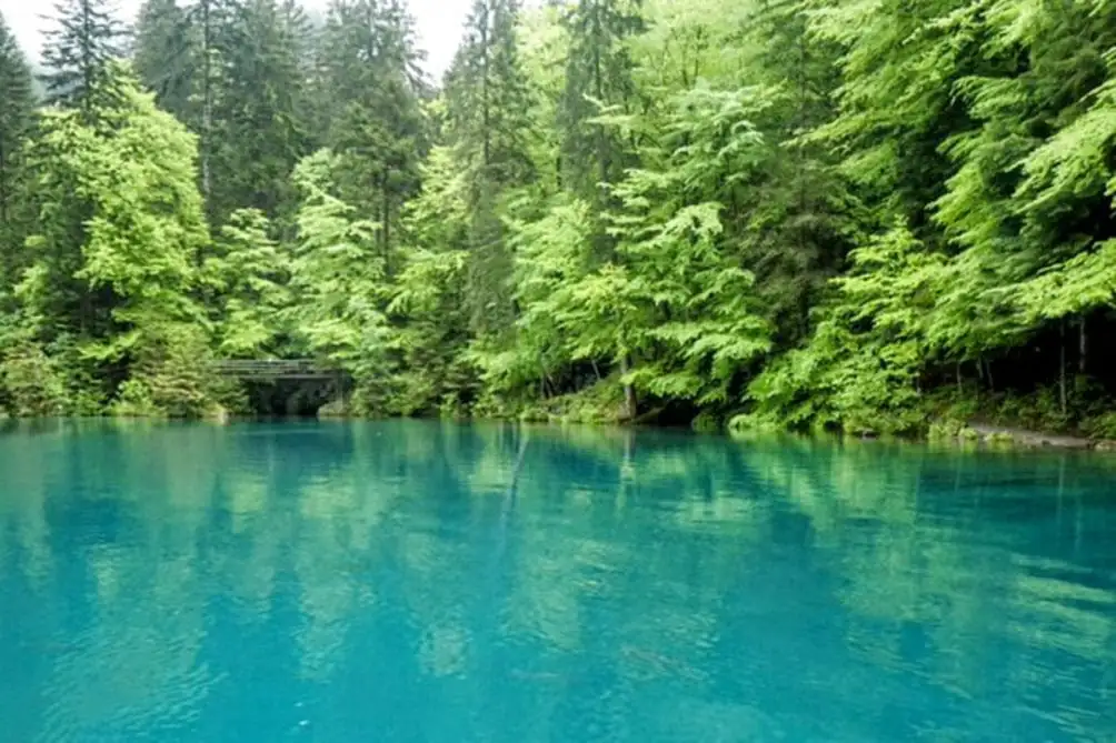 Blausee Express Sightseeing — Happy Tour Switzerland (7)