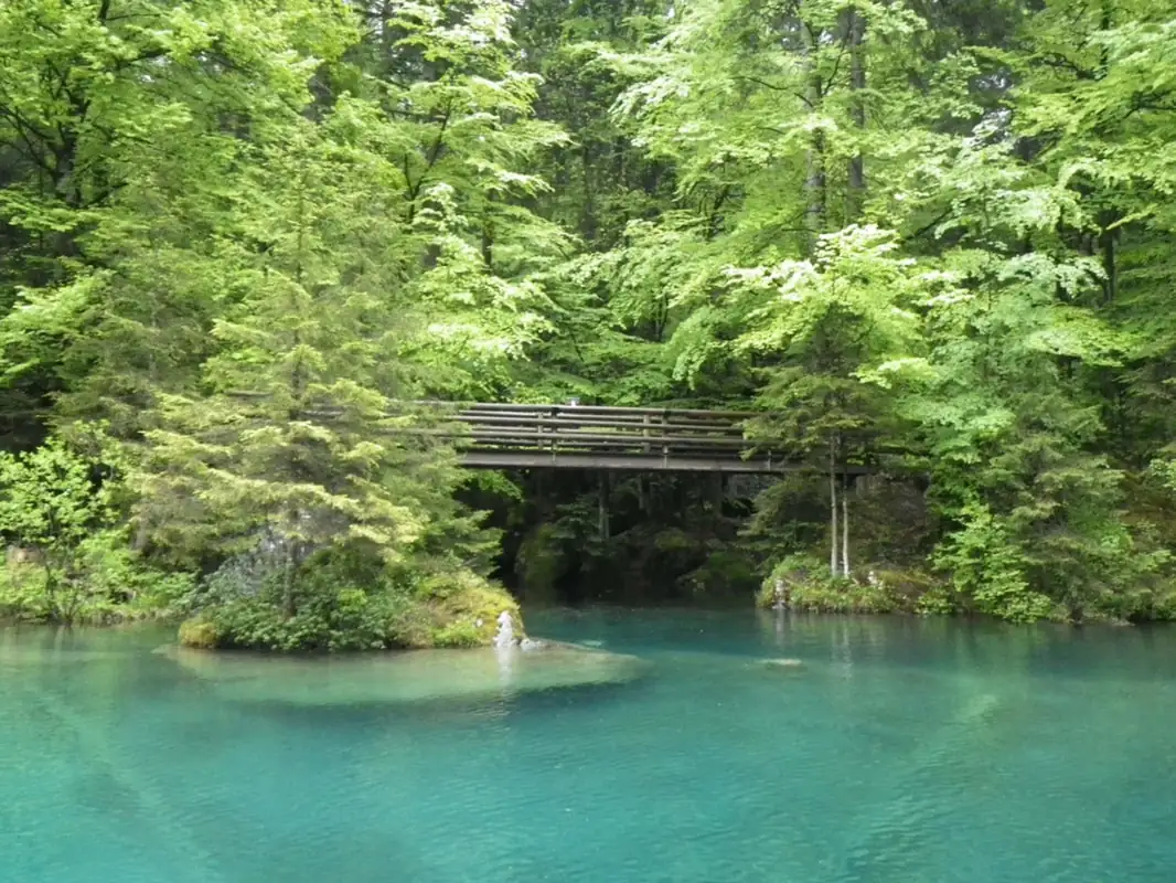 Blausee Express Sightseeing — Happy Tour Switzerland (6)