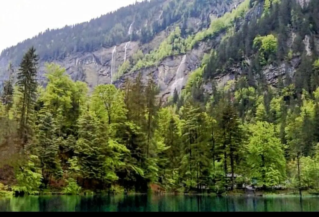 Blausee Express Sightseeing Tour Bern, Thun — Happy Tour Switzerland (10)
