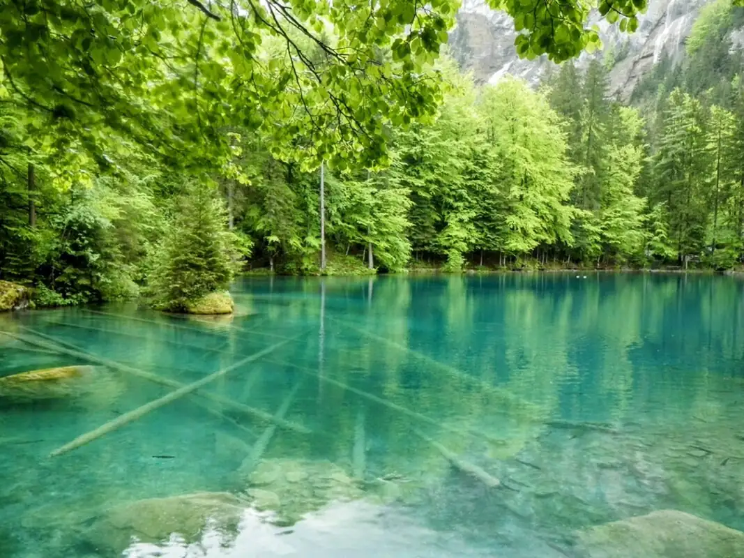 Blausee Spiez Castle — Happy Tour Switzerland (7)