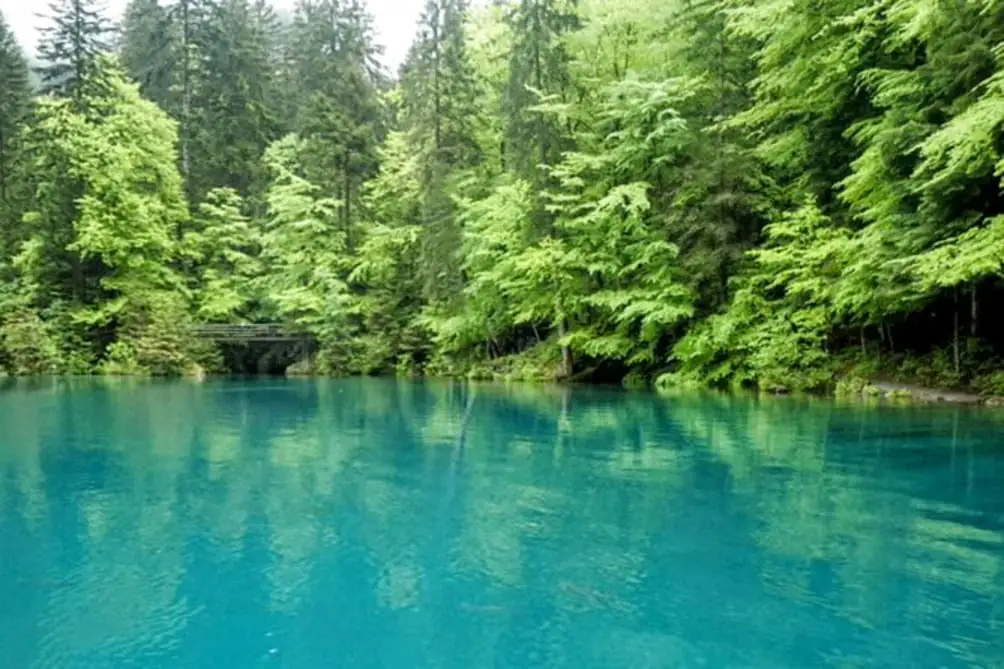 Blausee Spiez Castle — Happy Tour Switzerland (9)