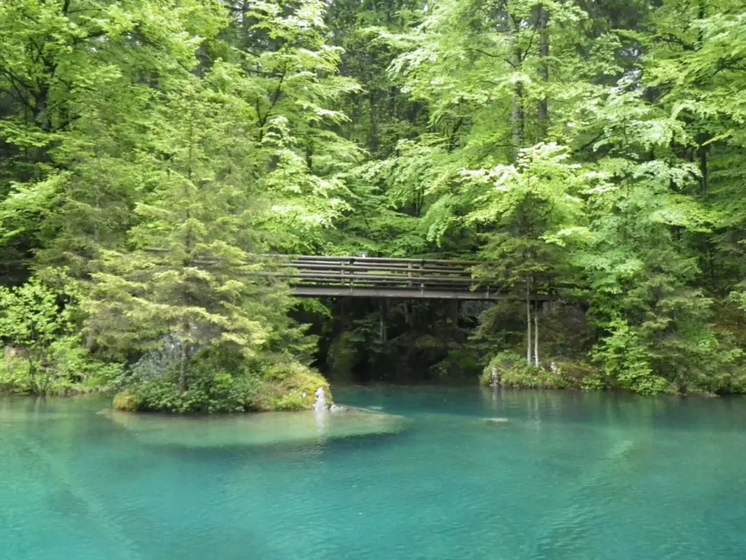 Blausee Spiez Castle — Happy Tour Switzerland (10)