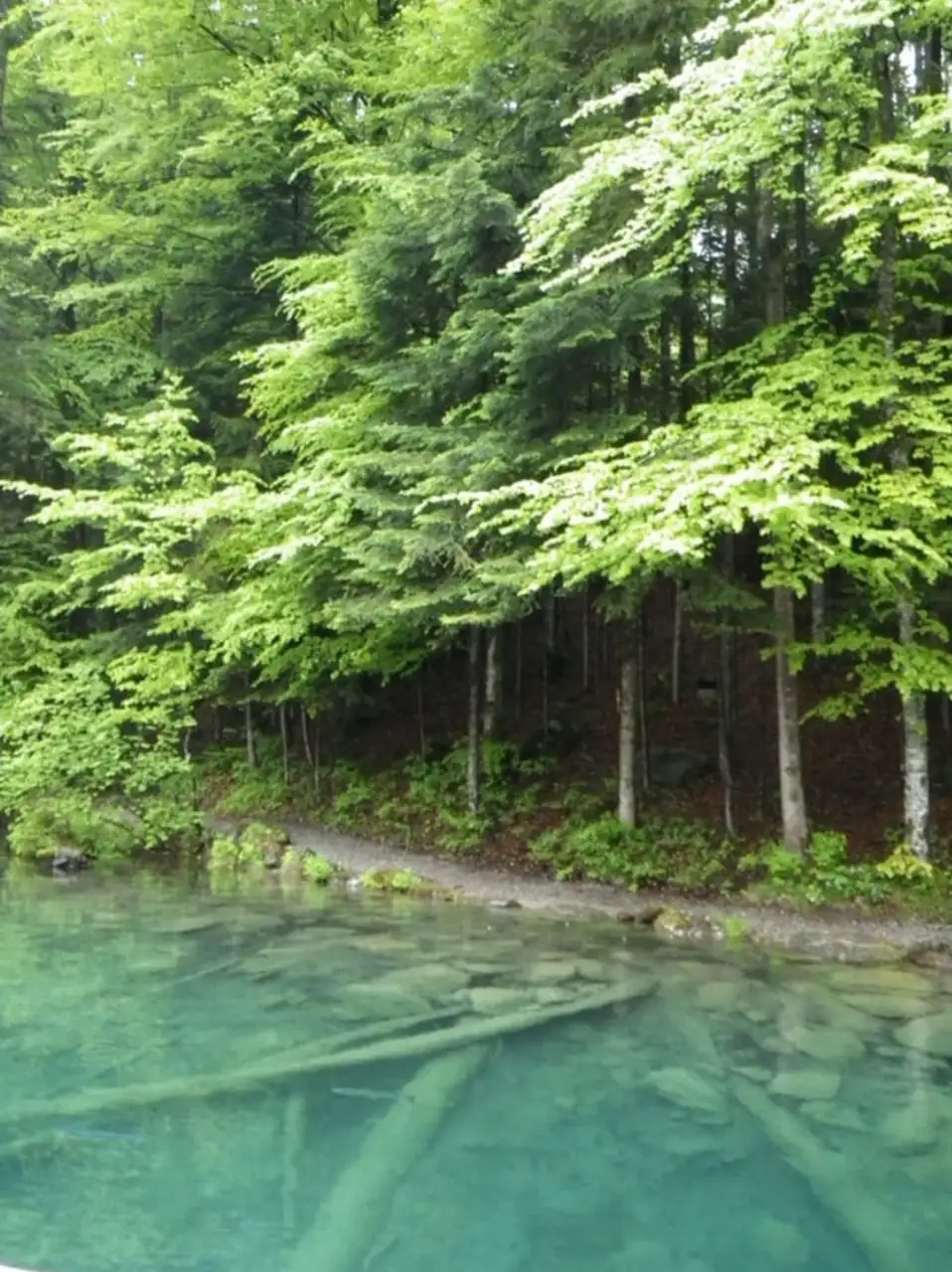 Blausee Tour Bern, Thun — Happy Tour Switzerland (12)