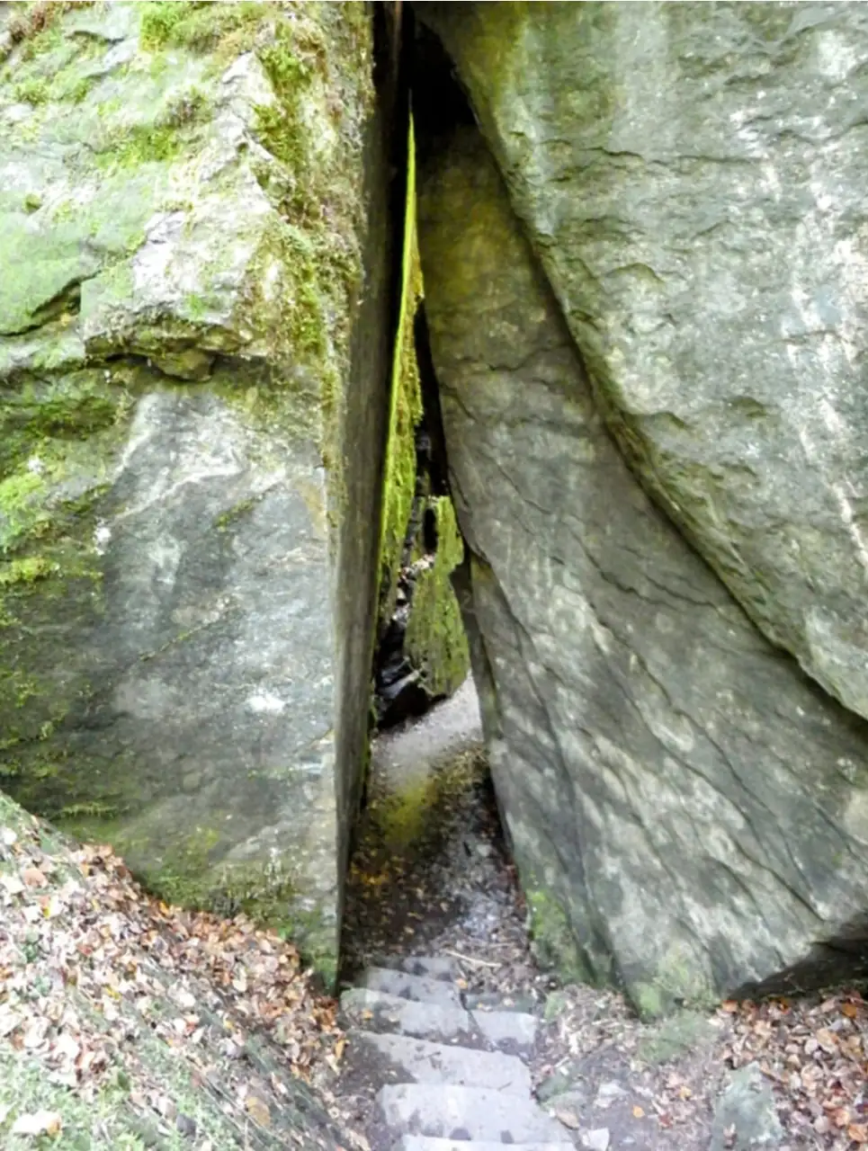 Blausee Tour Bern, Thun — Happy Tour Switzerland (24)
