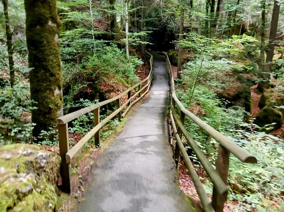 Blausee Tour Bern, Thun — Happy Tour Switzerland (19)