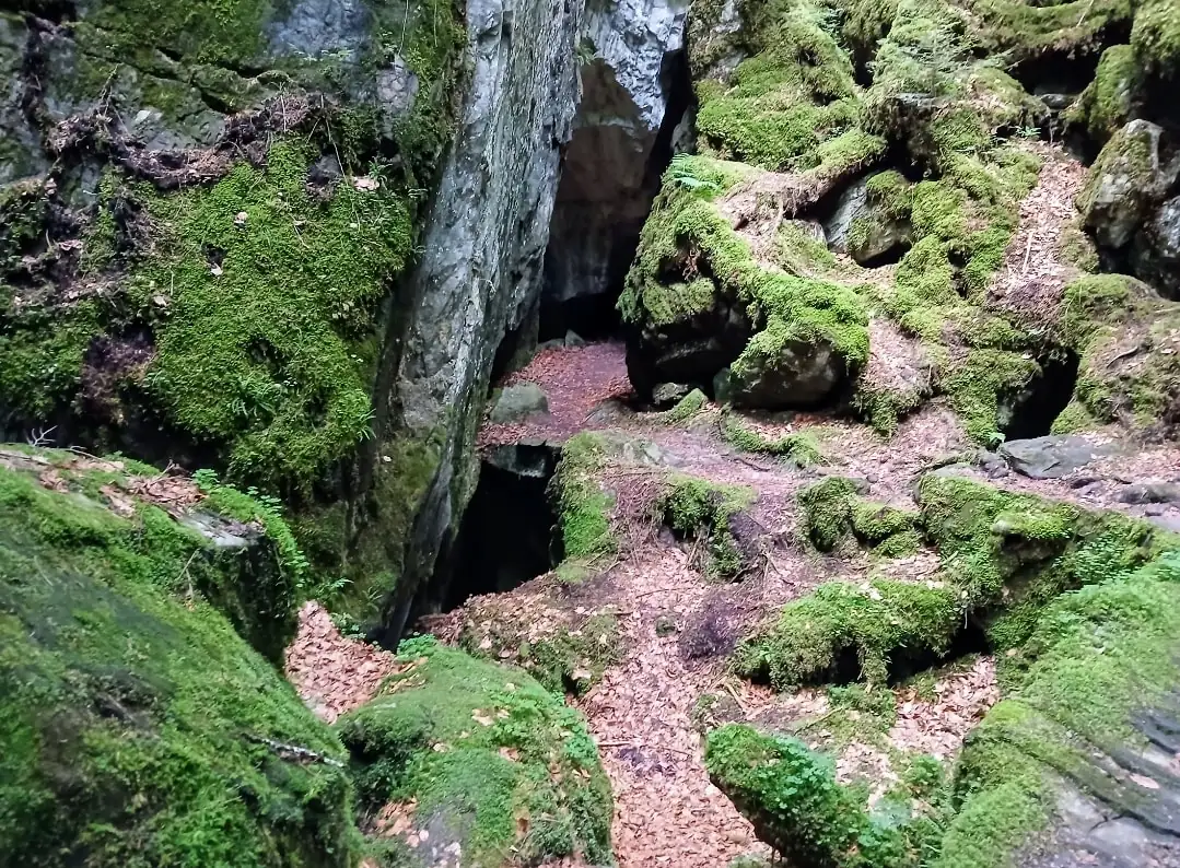 Blausee Tour Bern, Thun — Happy Tour Switzerland (26)
