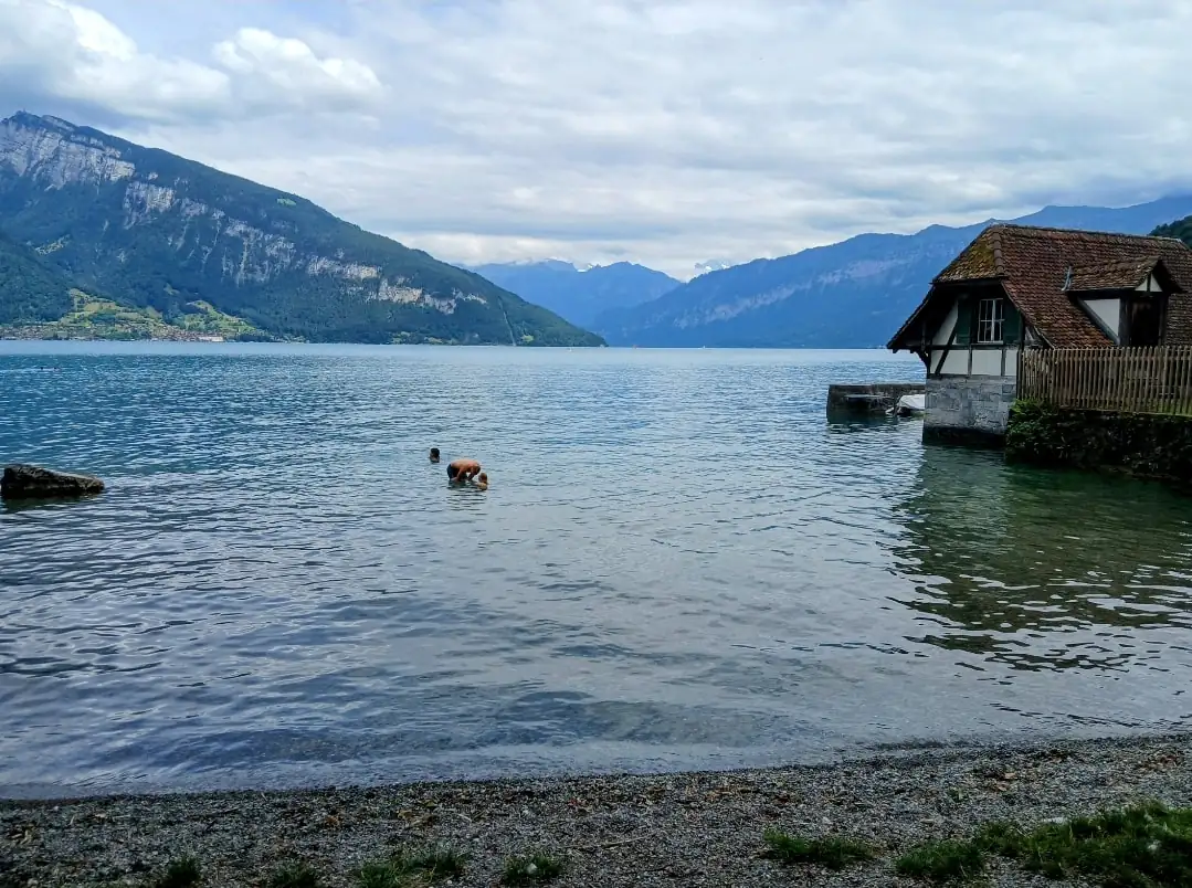 Blausee Tour Bern, Thun — Happy Tour Switzerland (39)