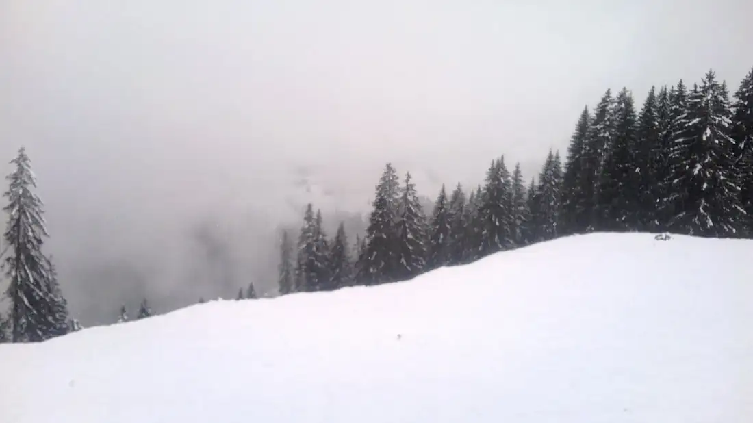 Jaun Hti Bild — Happy Tour Switzerland (9)