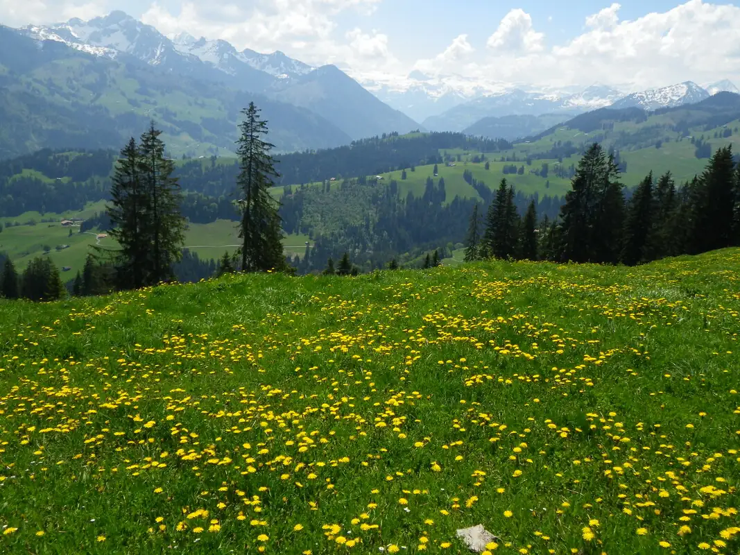 Bollywood + Gstaad + Glacier 3000 — Movie & TV Locations private tour, Switzerland