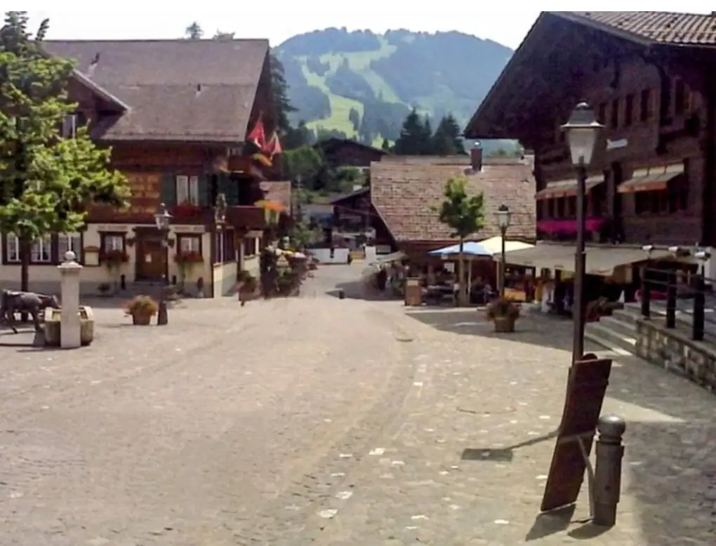 Bollywood + Gstaad + Glacier 3000 Bern, Thun — Happy Tour Switzerland (15)