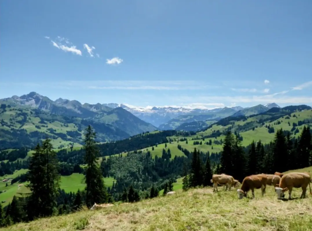 Bollywood + Gstaad + Glacier 3000 Bern, Thun — Happy Tour Switzerland (3)