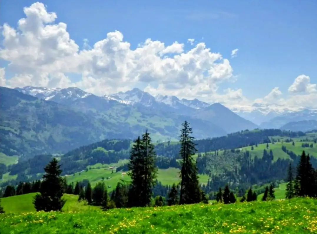 Bollywood + Gstaad + Glacier 3000 Bern, Thun — Happy Tour Switzerland (4)