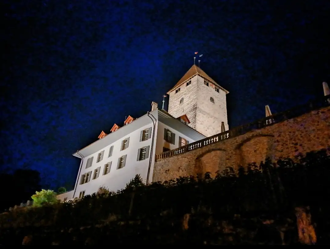 Castle By Nite Spiez — Happy Tour Switzerland (22)