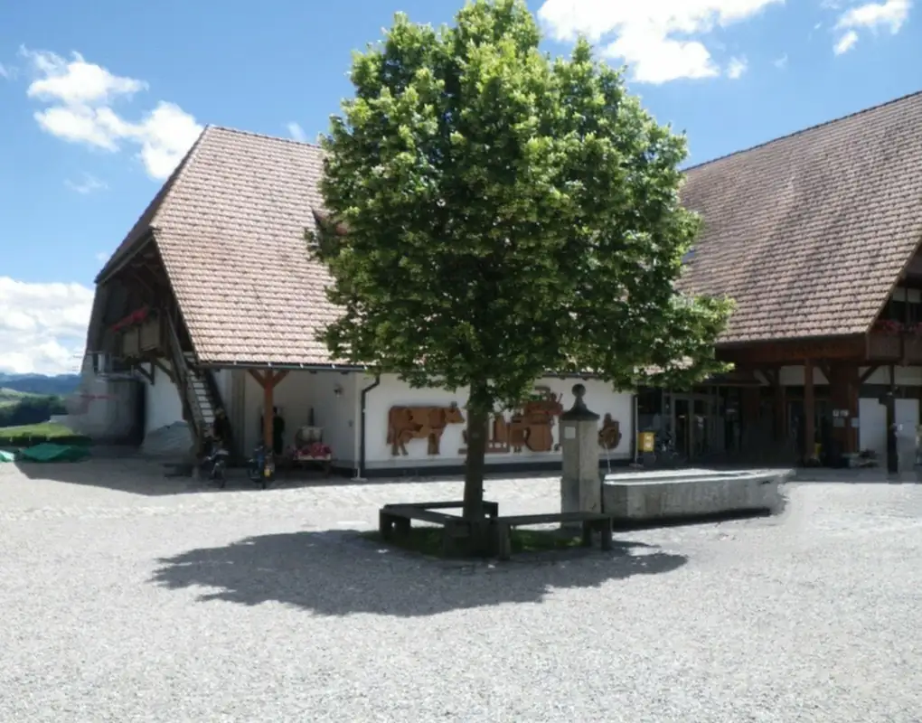 Cheese Factory Inner Sanctum Emmental Sightseeing — Happy Tour Switzerland (2)