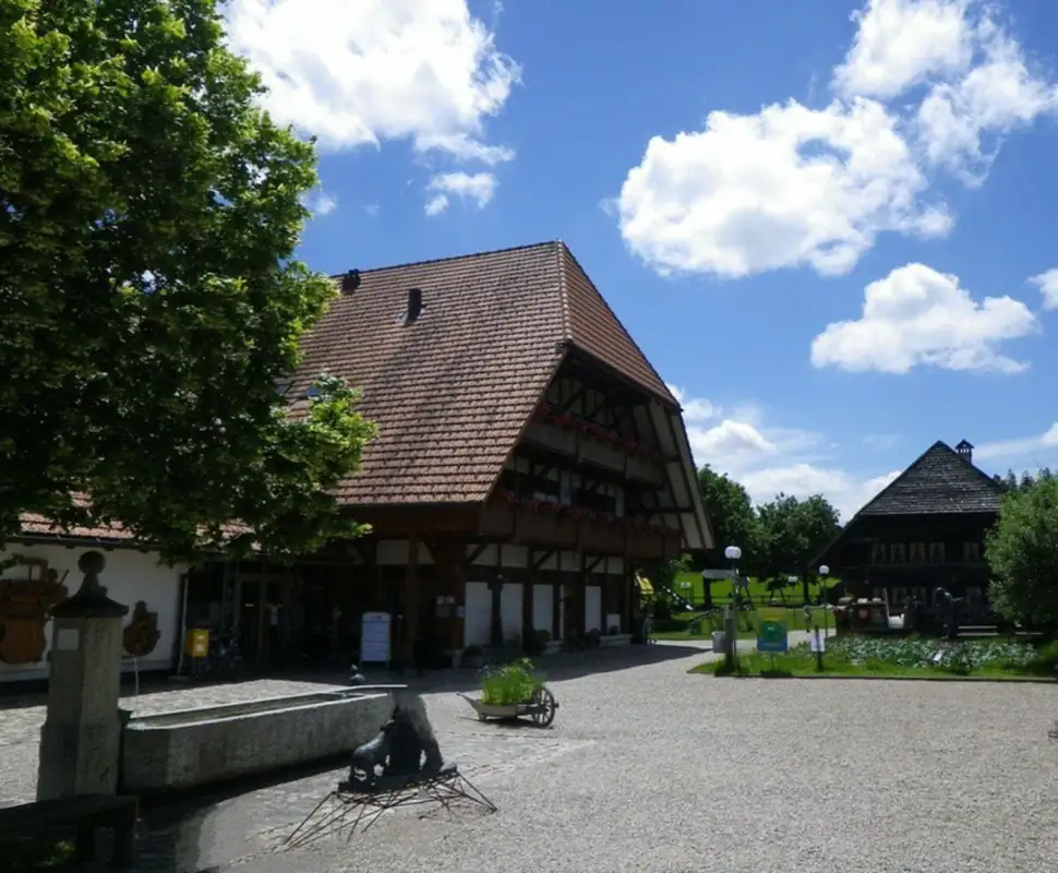 Cheese Factory Inner Sanctum Emmental Sightseeing — Happy Tour Switzerland (3)