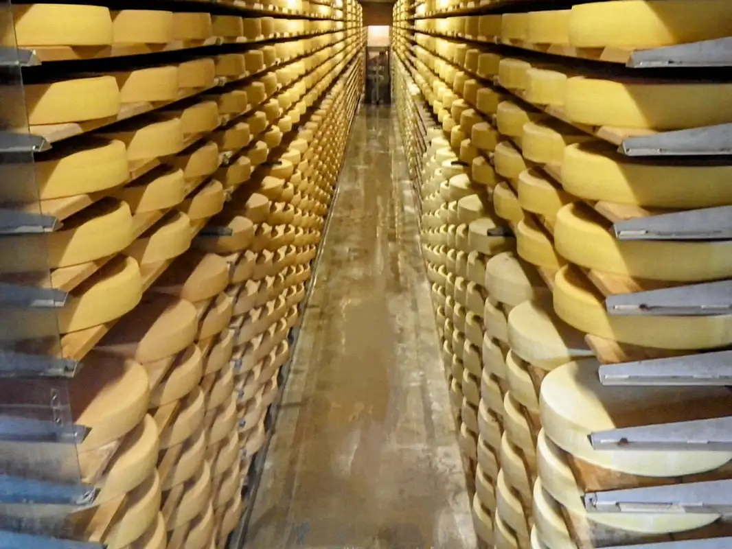 Cheese Factory Near Choco Factory Tour — Chocolate private tour, Switzerland