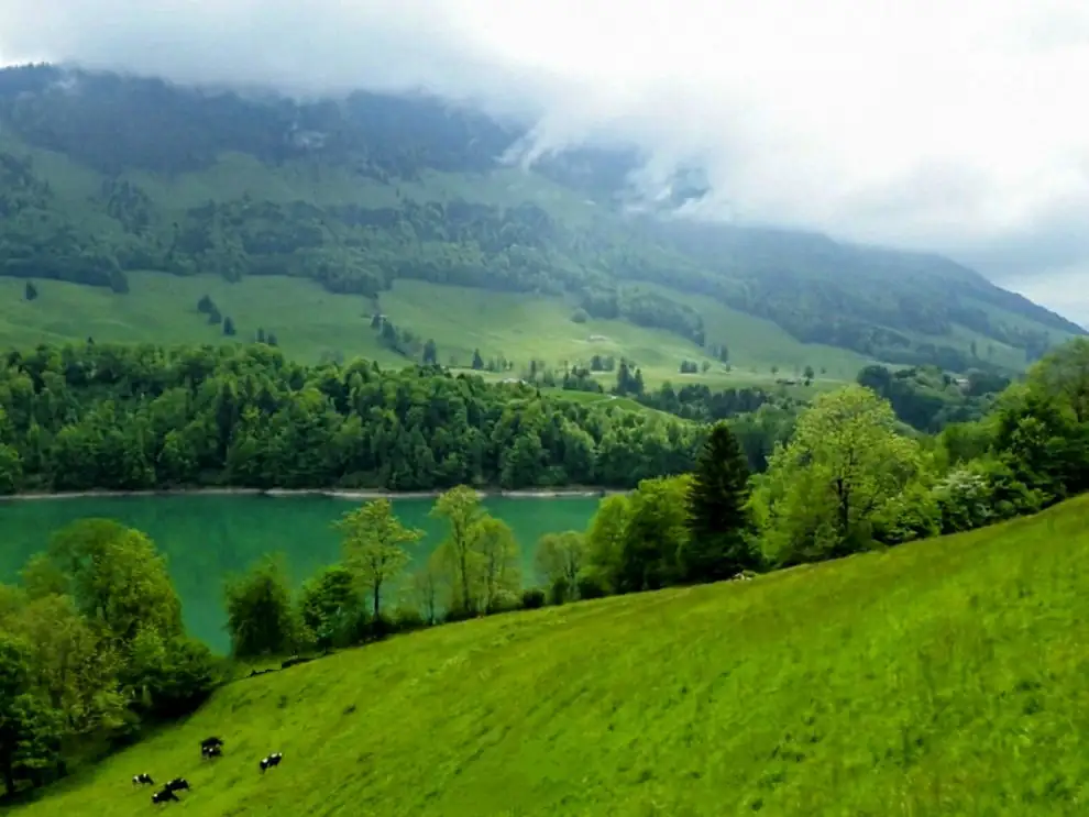 Wa0024 — Happy Tour Switzerland (5)