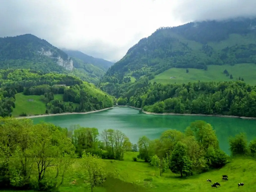 Wa0025 — Happy Tour Switzerland (4)