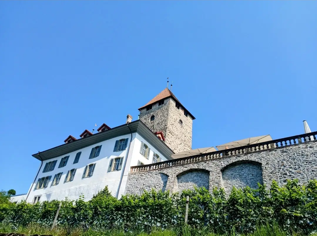 Chocolate Factory Tour Bern, Thun — Happy Tour Switzerland (54)