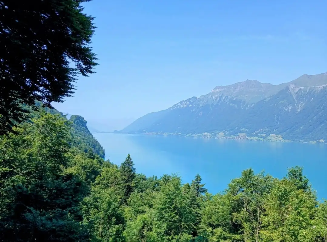 Cloy Crash Landing On You All Movie Locations Tour Bern, Thun — Happy Tour Switzerland (30)