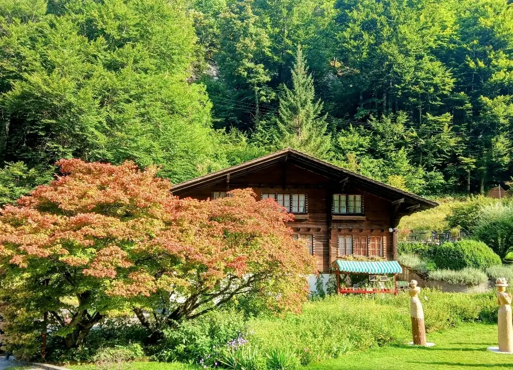 Cloy Crash Landing On You All Movie Locations Tour Bern, Thun — Happy Tour Switzerland (26)
