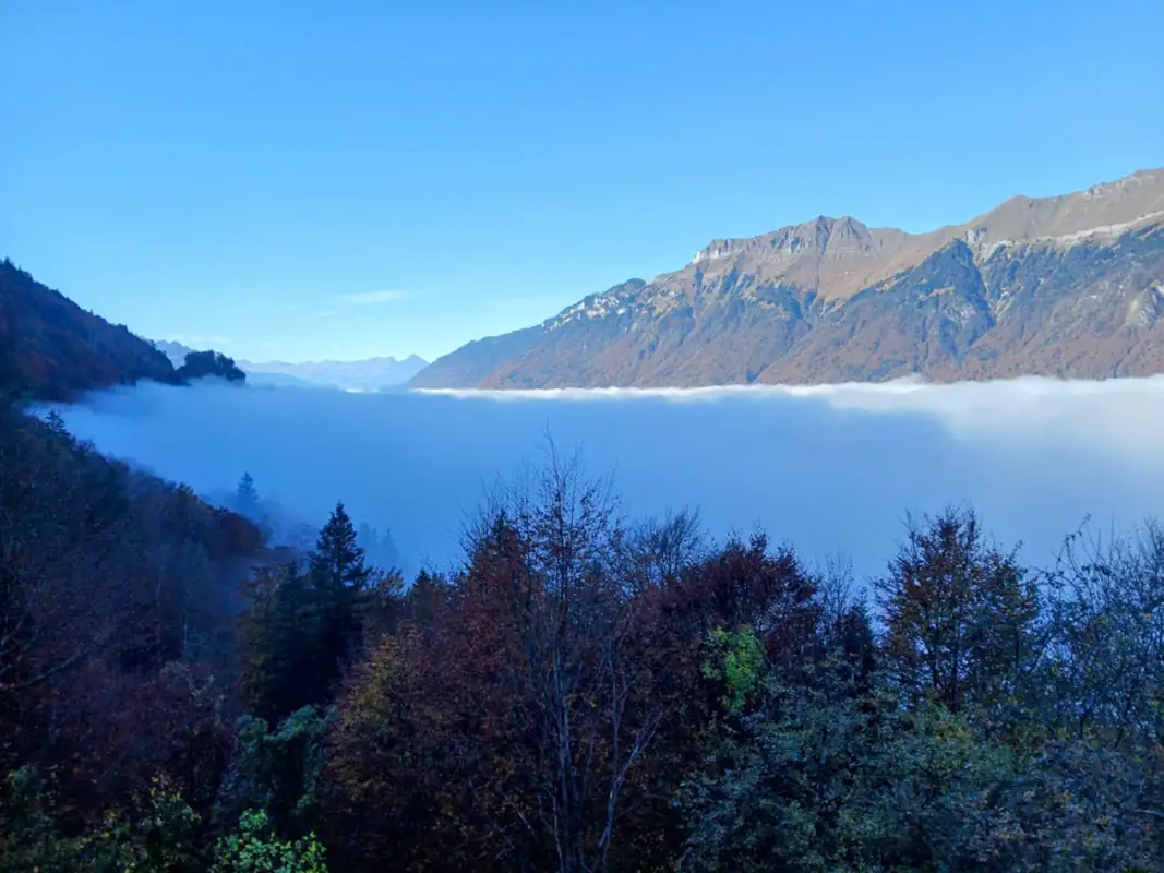 Cloy Crash Landing On You All — Happy Tour Switzerland (45)