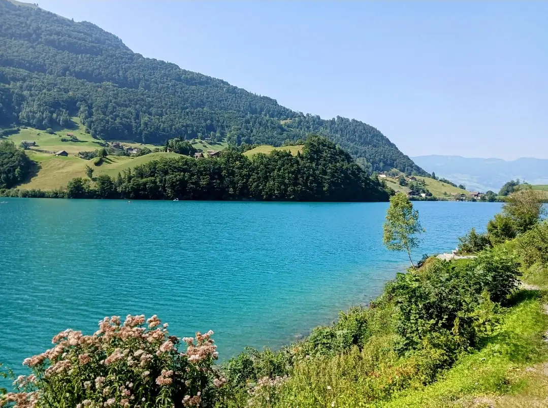 Cloy Crash Landing On You All Movie Sites Location From Bern Thun Spiez Bern — Happy Tour Switzerland (18)