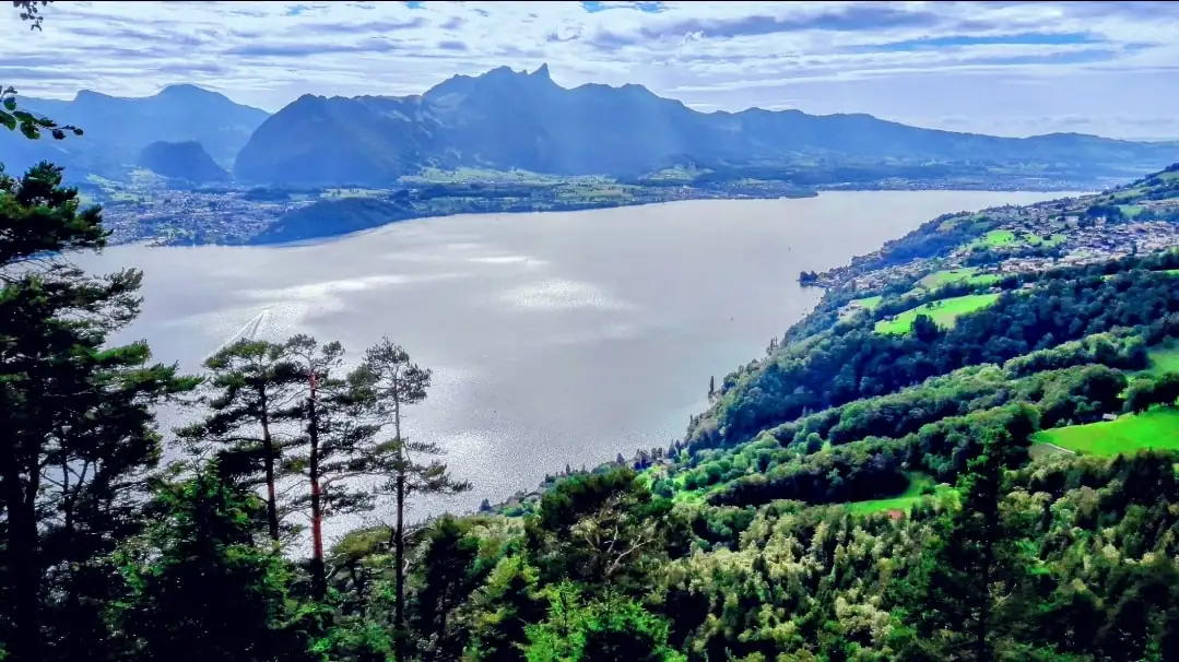 Cloy Hanging Bridge Quick Tour — CLOY / Crash Landing private tour, Switzerland
