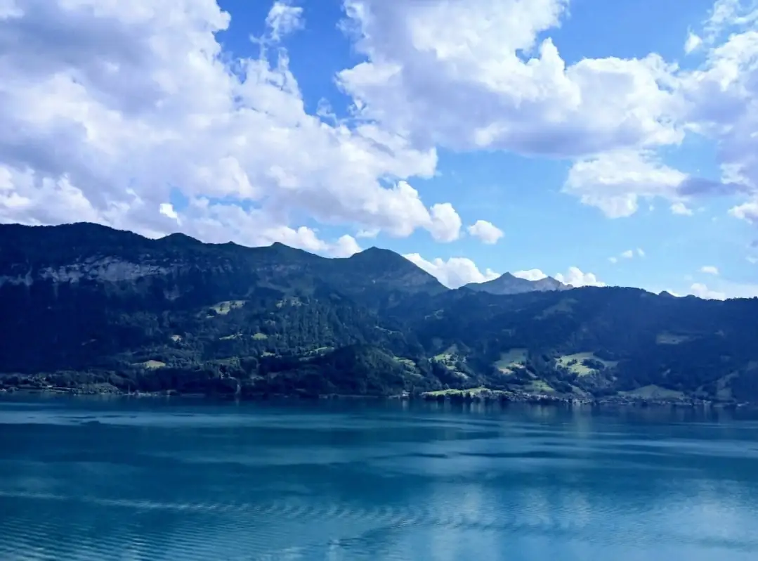 Cloy Hanging Bridge Quick Tour Bern, Thun — Happy Tour Switzerland (13)