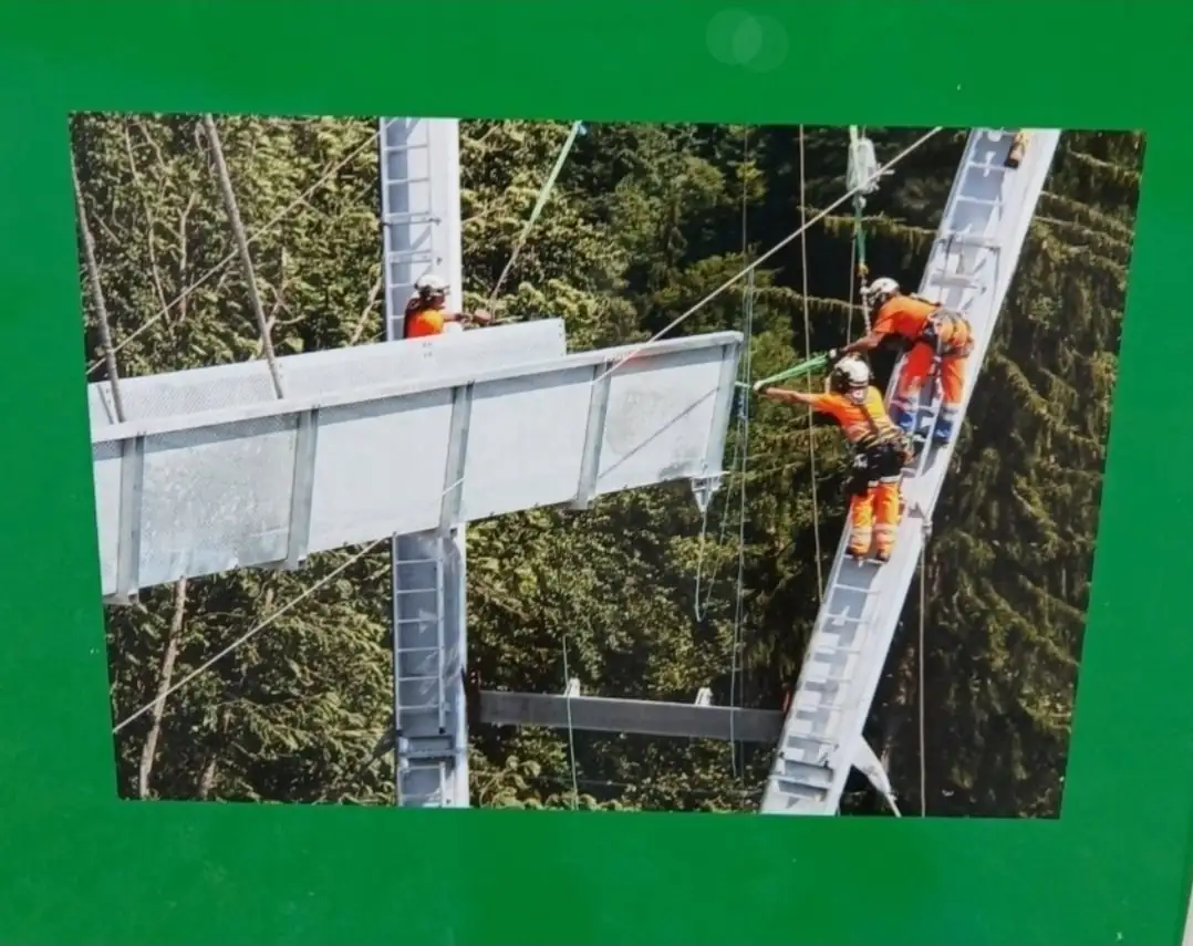 Cloy Hanging Bridge Quick Tour Bern, Thun — Happy Tour Switzerland (12)