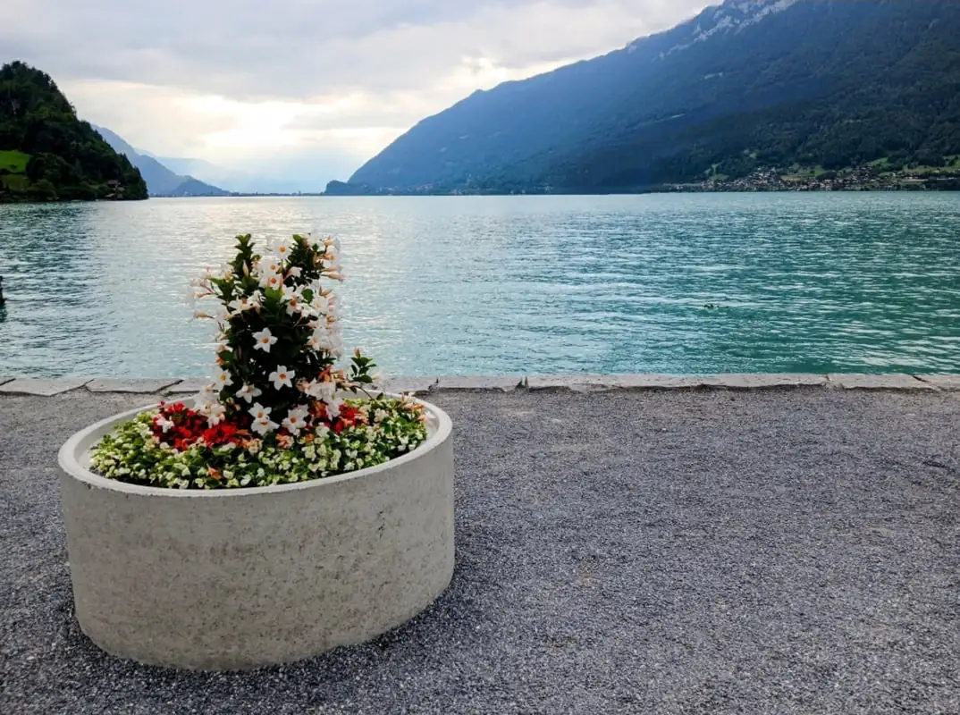 Cloy Pier Iseltwald Hanging Bridge Sigriswil — Happy Tour Switzerland (7)