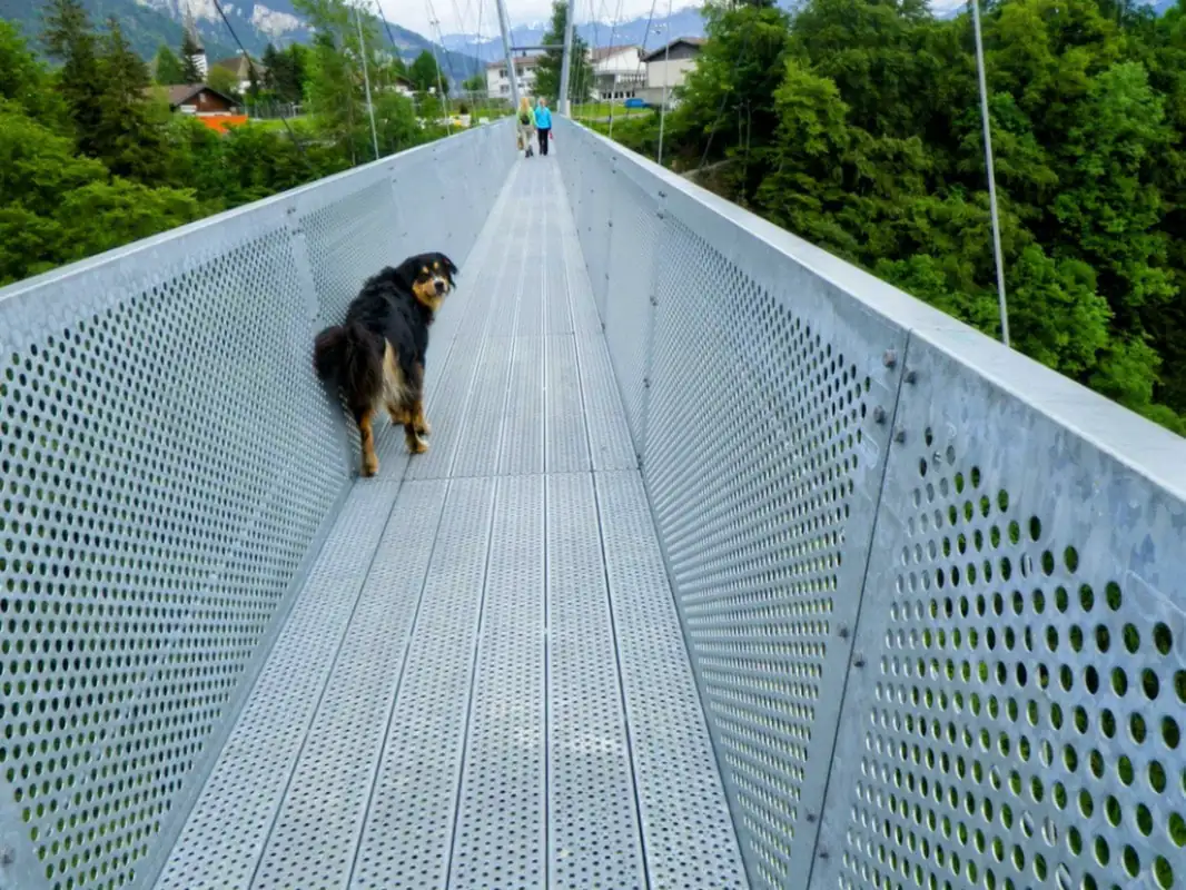Cloy Pier Iseltwald Hangbridge Sigriswil Lauterbrunnen — Happy Tour Switzerland (16)