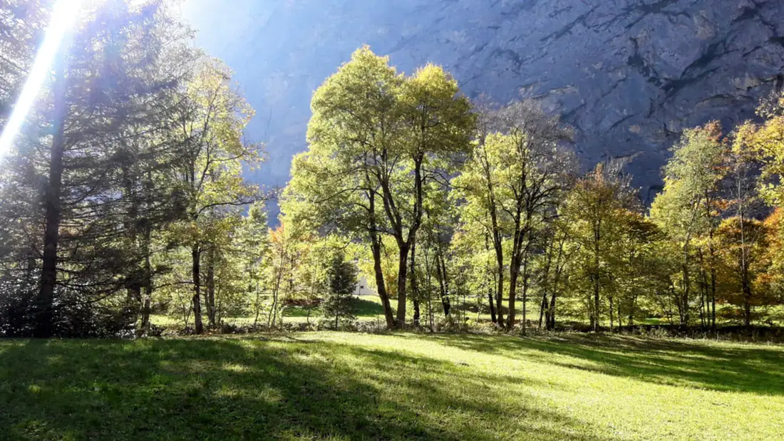 Cloy Pier Iseltwald Hangbridge Sigriswil Lauterbrunnen — Happy Tour Switzerland (29)
