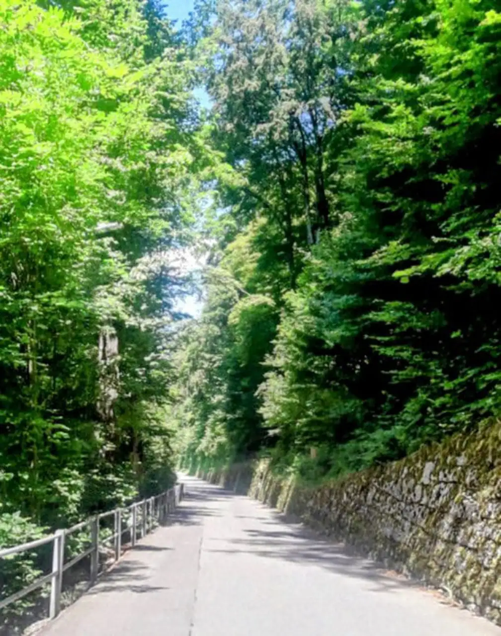 Cloy Pier Iseltwald Hangbridge Sigriswil Lauterbrunnen — Happy Tour Switzerland (40)
