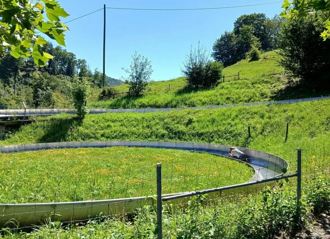 Fun Ride Express 1000 Meter Bern, Luzern — Happy Tour Switzerland (6)
