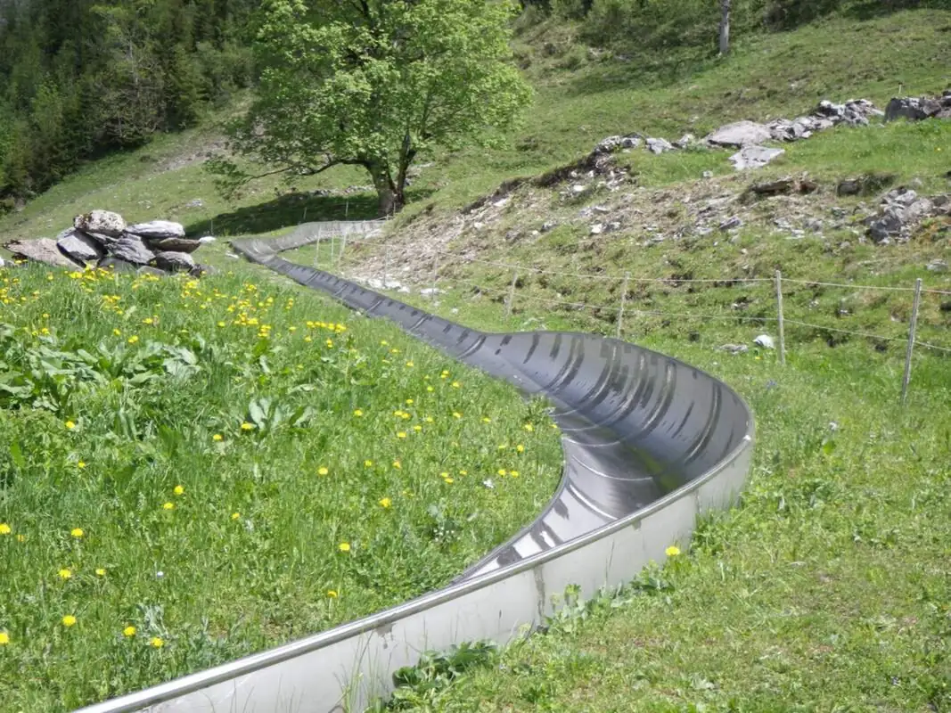 Fun Ride Super View Activity Sightseeing — Happy Tour Switzerland (7)