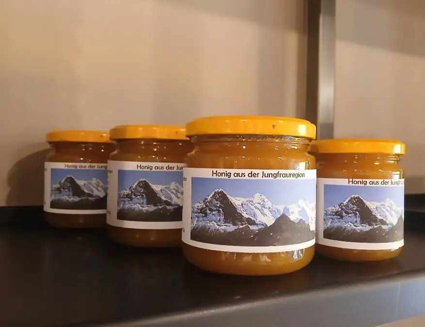 Fun Ride + Super View Bern, Thun — Happy Tour Switzerland (38)