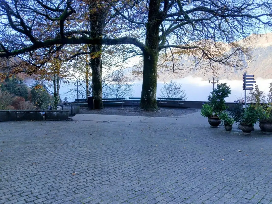 Giessbach Iseltwald Cloy — Happy Tour Switzerland (21)